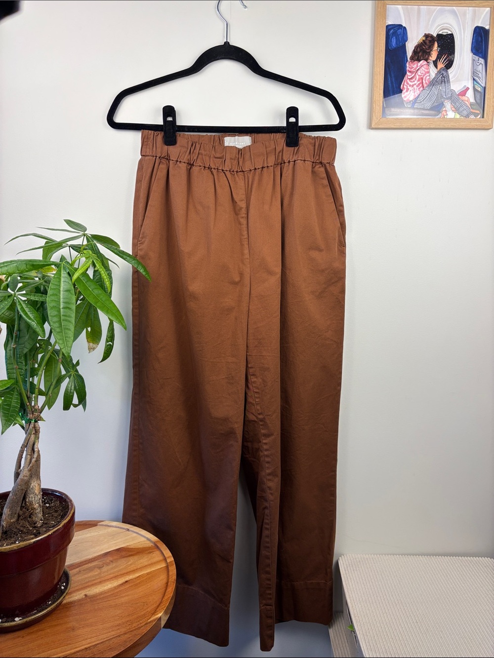 Everlane The Easy Pants Chestnut Brown